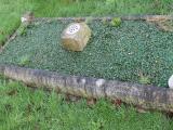 image of grave number 550038